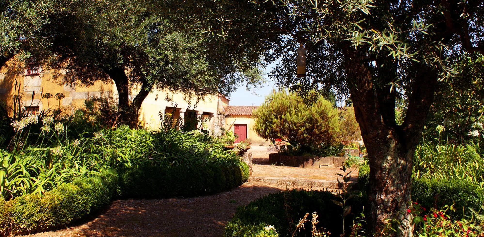 Quinta Da Agra Pensionat Ponte de Lima Eksteriør billede